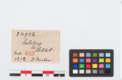 Etiketten zu Bronzeniet (NHMW-PRAE-024922)
